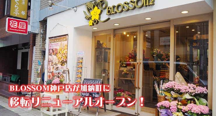 神戸・三宮本店が加納町に移転リニューアルオープン！